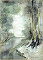 Snowy River Landscape
